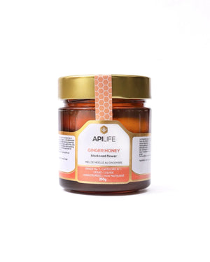 Apilfe Ginger Black Seed Honey - A Holistic Elixir for Body, Mind & Soul