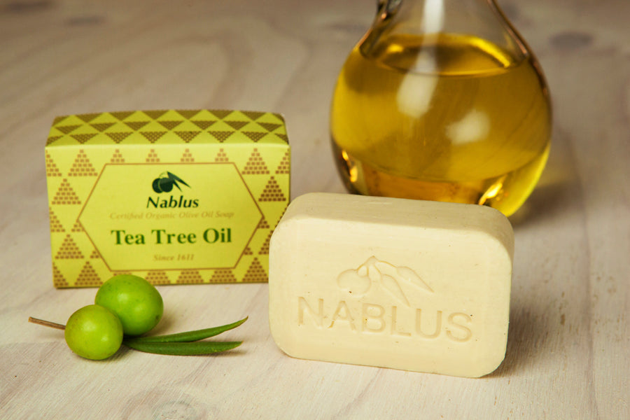 Nablus Natural Organic ECOCERT Certified Olive Oil Soap-Tea Tree Oil (100 Gm)