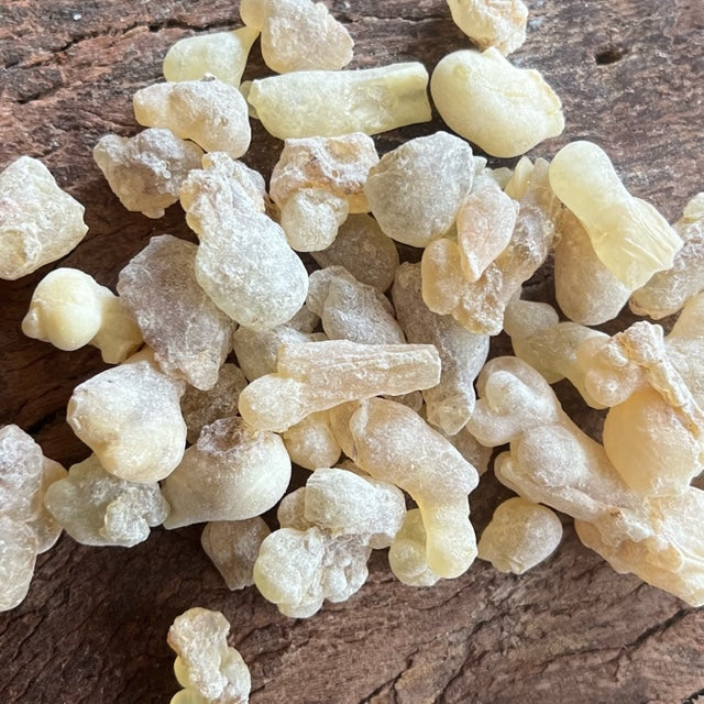 White Hojari Frankincense Resin Boswellia Sacra Oman
